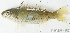  ( - S0008_021)  @11 [ ] CreativeCommons - Attribution Non-Commercial Share-Alike (2017) Henitsoa Jaonalison IH.SM, Toliara, Madagascar
