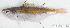 ( - S0009_020)  @11 [ ] CreativeCommons - Attribution Non-Commercial Share-Alike (2017) Henitsoa Jaonalison IH.SM, Toliara, Madagascar