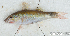  ( - S0013_008)  @11 [ ] CreativeCommons - Attribution Non-Commercial Share-Alike (2017) Henitsoa Jaonalison IH.SM, Toliara, Madagascar