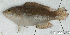  ( - S0015_028)  @11 [ ] CreativeCommons - Attribution Non-Commercial Share-Alike (2017) Henitsoa Jaonalison IH.SM, Toliara, Madagascar
