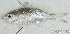  ( - S0015_048)  @11 [ ] CreativeCommons - Attribution Non-Commercial Share-Alike (2017) Henitsoa Jaonalison IH.SM, Toliara, Madagascar