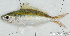  ( - S0023_002)  @11 [ ] CreativeCommons - Attribution Non-Commercial Share-Alike (2017) Henitsoa Jaonalison IH.SM, Toliara, Madagascar