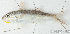  ( - S0023_004)  @11 [ ] CreativeCommons - Attribution Non-Commercial Share-Alike (2017) Henitsoa Jaonalison IH.SM, Toliara, Madagascar