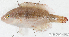 ( - S0027_003)  @11 [ ] CreativeCommons - Attribution Non-Commercial Share-Alike (2017) Henitsoa Jaonalison IH.SM, Toliara, Madagascar