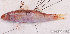  ( - S0032_016)  @11 [ ] CreativeCommons - Attribution Non-Commercial Share-Alike (2017) Henitsoa Jaonalison IH.SM, Toliara, Madagascar