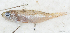  ( - S0050_011)  @11 [ ] CreativeCommons - Attribution Non-Commercial Share-Alike (2018) Henitsoa Jaonalison IH.SM, Toliara, Madagascar