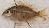  ( - S0056_005)  @11 [ ] CreativeCommons - Attribution Non-Commercial Share-Alike (2018) Henitsoa Jaonalison IH.SM, Toliara, Madagascar