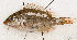  ( - S0063_001)  @11 [ ] CreativeCommons - Attribution Non-Commercial Share-Alike (2018) Henitsoa Jaonalison IH.SM, Toliara, Madagascar