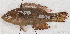  ( - S0067_001)  @11 [ ] CreativeCommons - Attribution Non-Commercial Share-Alike (2018) Henitsoa Jaonalison IH.SM, Toliara, Madagascar