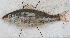  ( - S0069_008)  @11 [ ] CreativeCommons - Attribution Non-Commercial Share-Alike (2018) Henitsoa Jaonalison IH.SM, Toliara, Madagascar