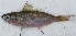  ( - S0070_003)  @11 [ ] CreativeCommons - Attribution Non-Commercial Share-Alike (2018) Henitsoa Jaonalison IH.SM, Toliara, Madagascar