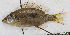  ( - S0074_006)  @11 [ ] CreativeCommons - Attribution Non-Commercial Share-Alike (2018) Henitsoa Jaonalison IH.SM, Toliara, Madagascar