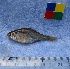  ( - IFCZE0047)  @11 [ ] Unspecified (default): All Rights Reserved  Unspecified Unspecified