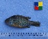  ( - IFCZE0319)  @13 [ ] Unspecified (default): All Rights Reserved  Unspecified Unspecified
