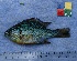  ( - IFCZE0638)  @13 [ ] Unspecified (default): All Rights Reserved  Unspecified Unspecified
