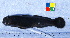  ( - IFCZE1089)  @11 [ ] Unspecified (default): All Rights Reserved  Unspecified Unspecified
