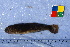  ( - IFCZE1090)  @11 [ ] Unspecified (default): All Rights Reserved  Unspecified Unspecified
