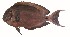  ( - HM10)  @11 [ ] Copyright (2025) Unspecified Paul Hebert Centre for DNA Barcoding and Biodiversity Studies