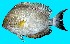  ( - HM4)  @11 [ ] Copyright (2025) Unspecified Paul Hebert Centre for DNA Barcoding and Biodiversity Studies