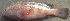  ( - BLG2232)  @12 [ ] Copyright (2016) PHCDBS PAUL HEBERT CENTRE FOR DNA BARCODING AND BIODIVERSITY STUDIES