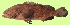  ( - G82)  @11 [ ] Copyright (2016) PHCDBS PAUL HEBERT CENTRE FOR DNA BARCODING AND BIODIVERSITY STUDIE