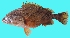  ( - G93)  @11 [ ] Copyright (2016) PHCDBS PAUL HEBERT CENTRE FOR DNA BARCODING AND BIODIVERSITY STUDIE