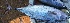  ( - MSWCF180)  @11 [ ] Copyright (2016) PHCDBS PAUL HEBERT CENTRE FOR DNA BARCODING AND BIODIVERSITY STUDIE