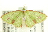  ( - CCDB-19573-G02)  @12 [ ] CreativeCommons - Attribution (2012) CBG Photography Group Centre for Biodiversity Genomics
