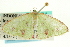  (Comibaena rhodonia - CCDB-19573-G03)  @13 [ ] CreativeCommons - Attribution (2012) CBG Photography Group Centre for Biodiversity Genomics