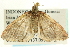  ( - CCDB-19574-E12)  @14 [ ] CreativeCommons - Attribution (2012) CBG Photography Group Centre for Biodiversity Genomics