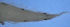  ( - ILC037)  @11 [ ] Copyright (2025) Unspecified Instituto Politecnico Nacional, Centro Interdisciplinario de Ciencias Marinas
