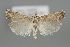  (Agriphila cyreneicellus - BGE_MZH_LEP_1021)  @11 [ ] CreativeCommons  Attribution Non-Commercial Share-Alike (2024) Leo Vahatalo University of Helsinki