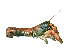  ( - ILVO183)  @11 [ ] CC BY-NC-ND 4.0 (2018) Hans Hillewaert Flanders Research Institute for agriculture, fisheries and food