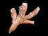  ( - ILVO420)  @11 [ ] CC BY-NC-ND 4.0 (2022) Hans Hillewaert Flanders Research Institute for agriculture, fisheries and food