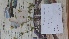  ( - AAC6194)  @11 [ ] CreativeCommons - Attribution (2018) AA Cocucci IMBIV