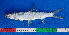  ( - CFRCO1013)  @11 [ ] copyright © (2025) Nicolas Roland OWO University Nangui Abrogoua