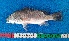  ( - CFRCO1069)  @11 [ ] copyright © (2025) Nicolas Roland OWO University Nangui Abrogoua