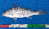  ( - CFRCO768)  @11 [ ] copyright © (2025) Nicolas Roland OWO University Nangui Abrogoua