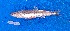 ( - CJV9-07)  @11 [ ] copyright © (2024) OWO Nicolas Roland Université Nangui ABROGOUA