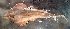  ( - CJV9-18)  @11 [ ] copyright © (2024) OWO Nicolas Roland Université Nangui ABROGOUA
