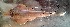  ( - CJV9-19)  @11 [ ] copyright © (2024) OWO Nicolas Roland Université Nangui ABROGOUA