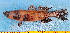  ( - WFRC013)  @11 [ ] copyright © (2024) OWO Nicolas Roland Université Nangui ABROGOUA