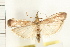  ( - IM07-0397)  @14 [ ] CreativeCommons - Attribution (2008) Unspecified Centre for Biodiversity Genomics
