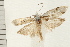  ( - IM08-0088)  @13 [ ] CreativeCommons - Attribution (2008) Unspecified Centre for Biodiversity Genomics