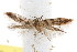  ( - IM08-2461)  @12 [ ] CreativeCommons - Attribution (2011) CBG Photography Group Centre for Biodiversity Genomics
