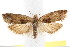  ( - IM08-2534)  @15 [ ] CreativeCommons - Attribution (2011) CBG Photography Group Centre for Biodiversity Genomics
