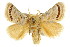  ( - IM08-2545)  @15 [ ] CreativeCommons - Attribution (2011) CBG Photography Group Centre for Biodiversity Genomics