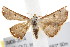  ( - IM08-2614)  @13 [ ] CreativeCommons - Attribution (2011) CBG Photography Group Centre for Biodiversity Genomics