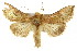  ( - IM08-2685)  @14 [ ] CreativeCommons - Attribution (2011) CBG Photography Group Centre for Biodiversity Genomics