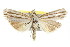  ( - IM08-2769)  @13 [ ] CreativeCommons - Attribution (2011) CBG Photography Group Centre for Biodiversity Genomics